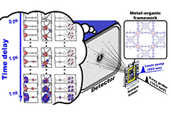 Filming Ultrafast Molecular Motions in Single Crystal