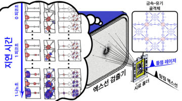 단결정 내 역동적인 분자 구조 변화 포착