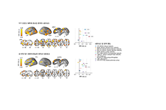 뇌과학의 진화, 생각 속 ‘감정’까지 읽어내다