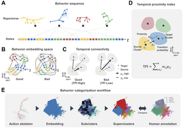 New AI Tool Developed for Advanced Animal Behavior Analysis