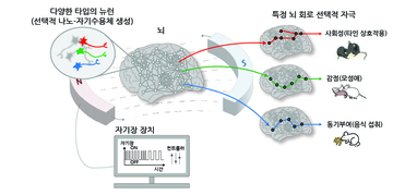 자기장으로 뇌 자극해 행동·감정 조절에 성공