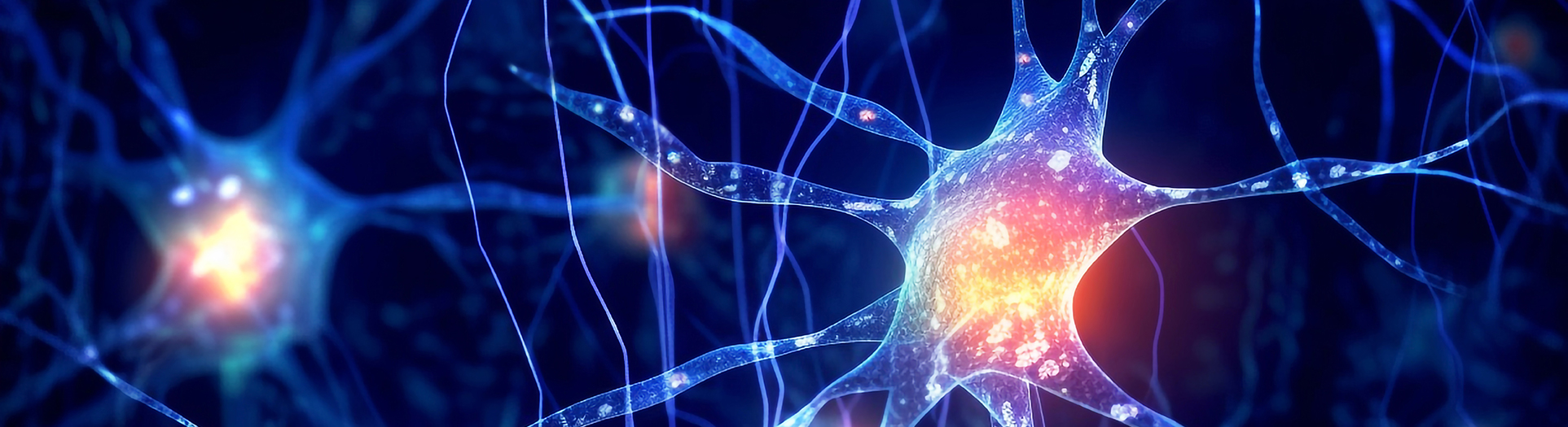 뇌세포 속 우체국, ‘골지체’ 작동시키는 핵심 이온 채널 밝혔다