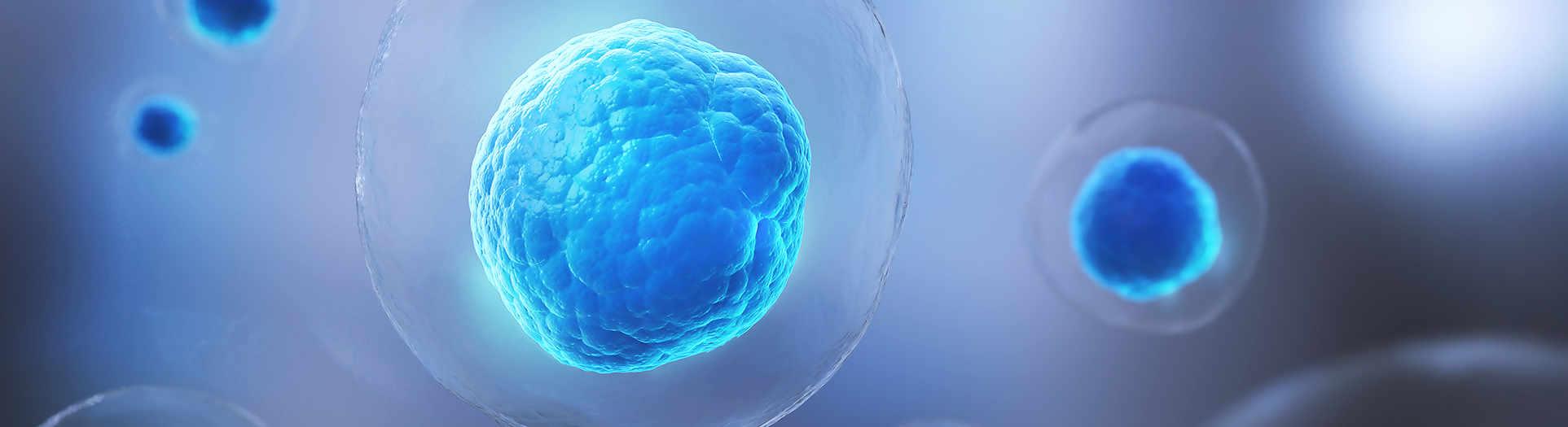 Astrocytic “Brake” That Blocks Spinal Cord Repair Identified