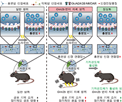공포 기억을 지우지 못하는 뇌, 자폐 환자 불안․공포 뇌 회로 비밀 풀렸다