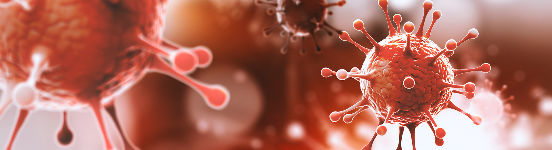 혼자서도 잘 자라는 암세포의 성장 전략 규명