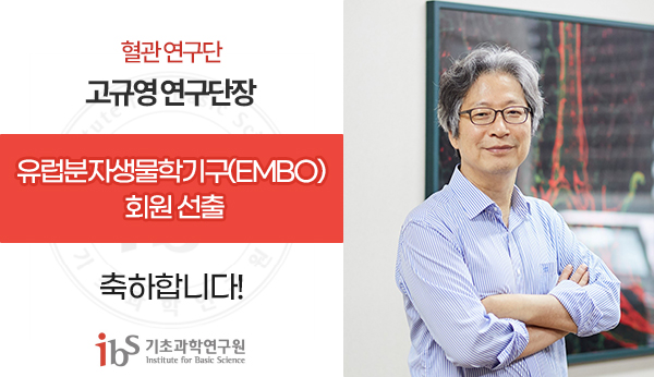 IBS 고규영 단장, 유럽분자생물학기구(EMBO) 회원 선출