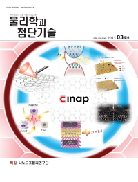 물리학과 첨단기술  2013년 3월 제22권 3호 웹진 표지