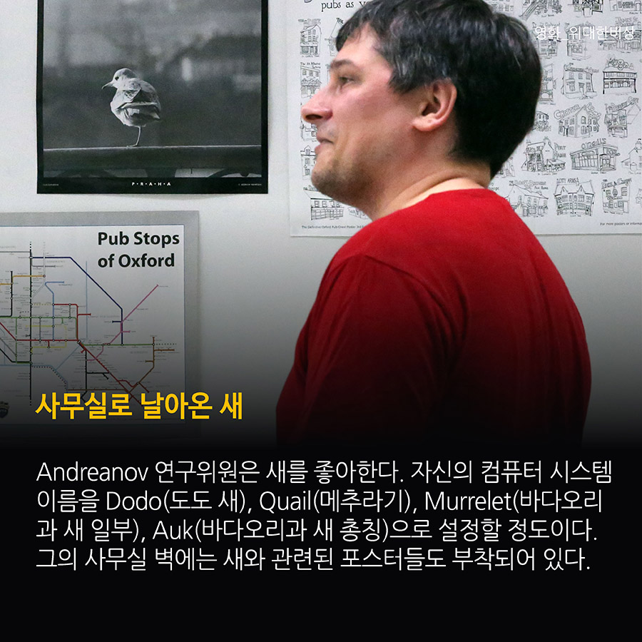 사무실로 날아온 새