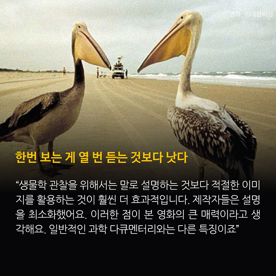 한번 보는 게 열 번 듣는 것보다 낫다