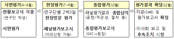 1단계 서면평가(4~6월, 현황보고서 제출, 서면평가). 2단계 현장평가(7~9월, 연구단별 2박3일 현장방문 평가, 패널평가보고서). 3단계 종합평가(10월, 패널평가결과 종합심의, 종합평가보고서). 4단계 평가결과 확정(12월, 자문 및 평가보고서 확정, 이사회 보고 및 후속조치 시행)