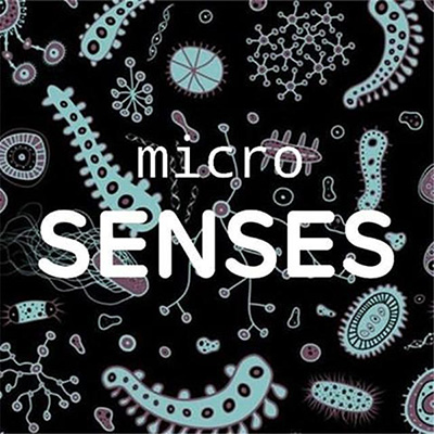 미시감각 연구소 Micro-Senses Lab
