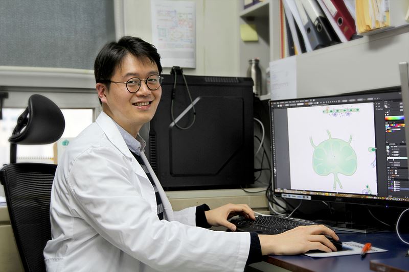 Researcher Lee at the Center for Vascular Research is a man of many talents who carries out cancer research but also has a knack for illustration. 