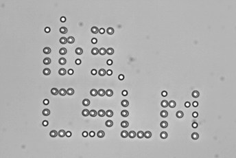 CSLM in the Microworld