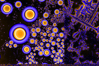 The Phases of DNA