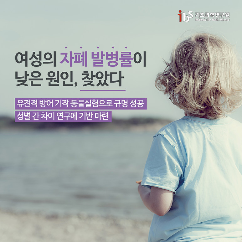 여성의 자폐 발병률이 낮은 원인 찾았다! 유전적 방어 기작 동물실험으로 여성의 자폐 발병률이 낮은 원인 규명 성공, 성별 간 차이 연구에 기반 마련