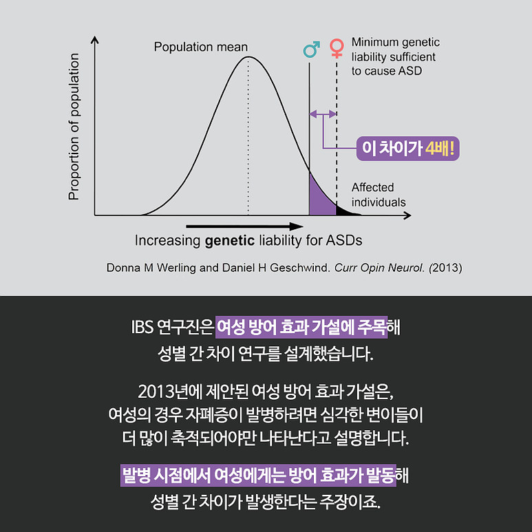 IBS 연구진은 여성 방어 효과 가설에 주목해 성별 간 차이 연구를 설계했습니다. 2013년에 제안된 여성 방어 효과 가설은, 여성의 경우 자폐증이 발병하려면 심각한 변이들이 더 많이 축적되어야만 나타난다고 설명합니다. 발병 시점에서 여성에게는 방어 효과가 발동해 성별 간 차이가 발생한다는 주장이죠.