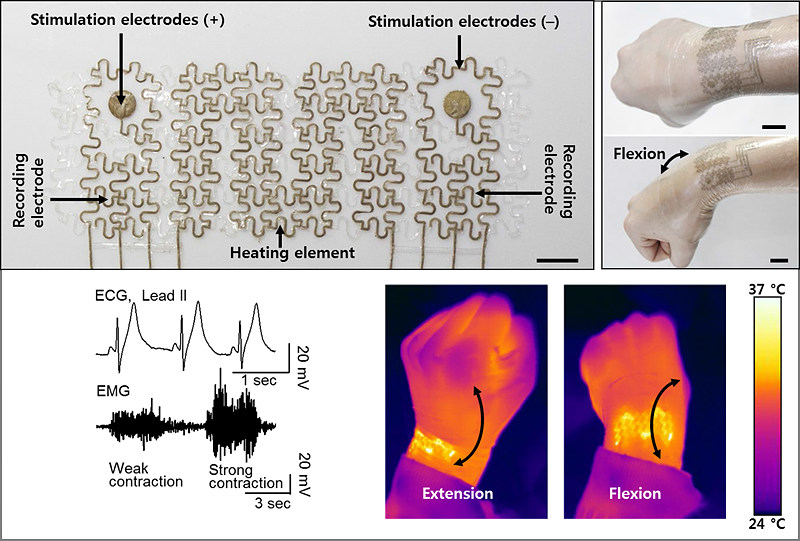 IBS 연구진이 만든 금-은 나노복합체는 피부에서의 전기신호를 읽을 수 있는 전극과 전기 자극을 전달하는 전극, 그리고 관절의 움직임에도 안정적으로 열을 전달하는 히터를 포함해 다양한 기능을 가지고 있는 전자피부로 활용 가능하다. (출처 : 기초과학연구원)