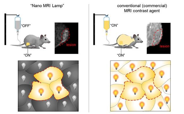Differences between Nano MRI Lamp and the conventional MRI contrast agent. (Left) Nano MRI Lamp is turned 
