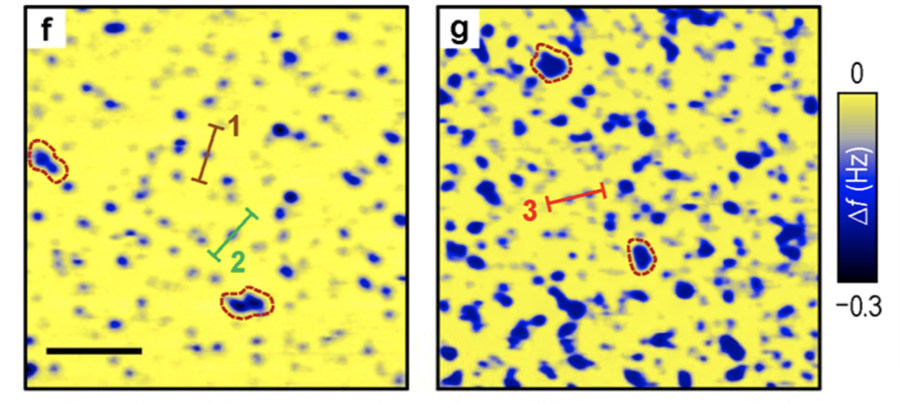 Figure 3: Examples of low and high density skyrmions. Magnetic force microscopy images with colors proportional to the local magnetic field. (Reproduced from Nature Materials)