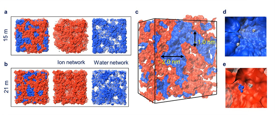 분광학 연구 결과 물 기반 전해질의 내부에서 물 분자(파란색)와 염 음이온(붉은색)은 서로 섞이지 않는 ‘이온 네트워크 구조’를 형성하고, 농도가 증가해도 이 구조에 변함이 없음이 밝혀졌다(a, b). 이런 비균질적인 구조로 인해 전해질 내부에는 수 나노미터(nm) 크기의 물 통로가 형성된다(c). 리튬 양이온(회색)은 염 뭉치 주변 보다, 물 통로를 이용해 빠르게 이동한다(d, e).