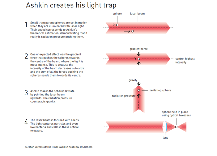 광학 집게의 원리. 레이저의 압력으로 인해 입자는 레이저의 중심 쪽으로 끌린다. 렌즈를 사용해 레이저 빔을 강하게 집속하면 초점으로 입자가 포획된다. (사진: 노벨상위원회)