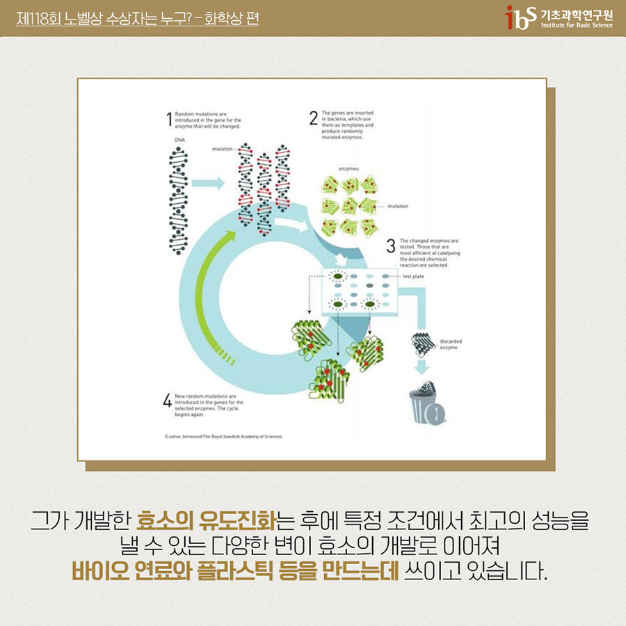 그가 개발한 효소의 유도진화는 후에 특정 조건에서 최고의 성능을 낼 수 있는 다양한 변이 효소의 개발로 이어져 바이오 연료와 플라스틱 등을 만드는데 쓰이고 있습니다.