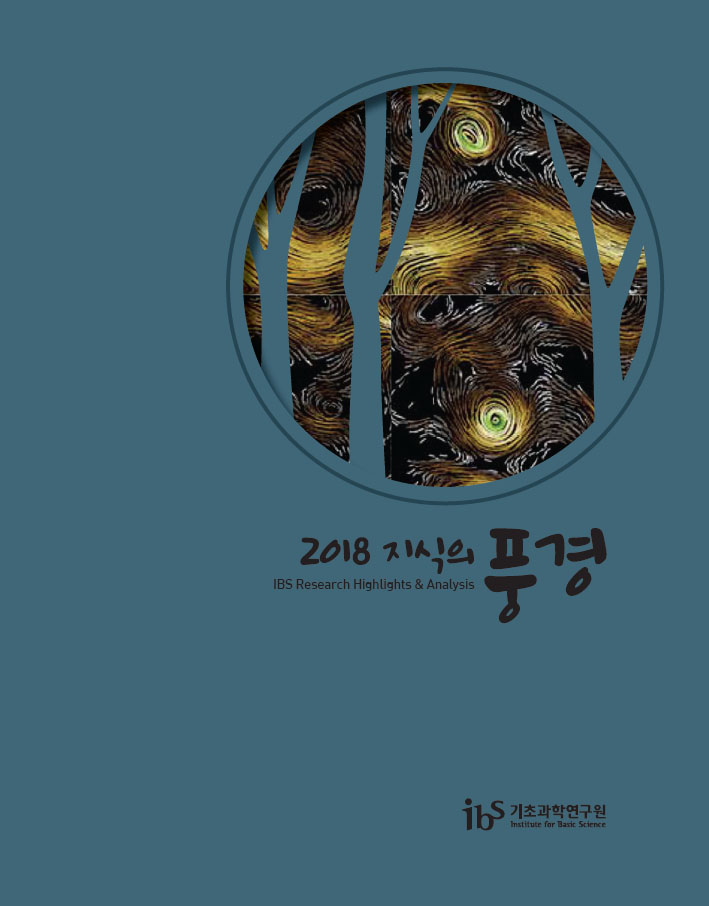 The cover of “Landscape of Knowledge 2018 – IBS Research Highlights & Analysis”