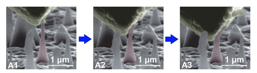 Diamond needles stretched and flexed as much as 9% without any breakage. (Credit: Science)