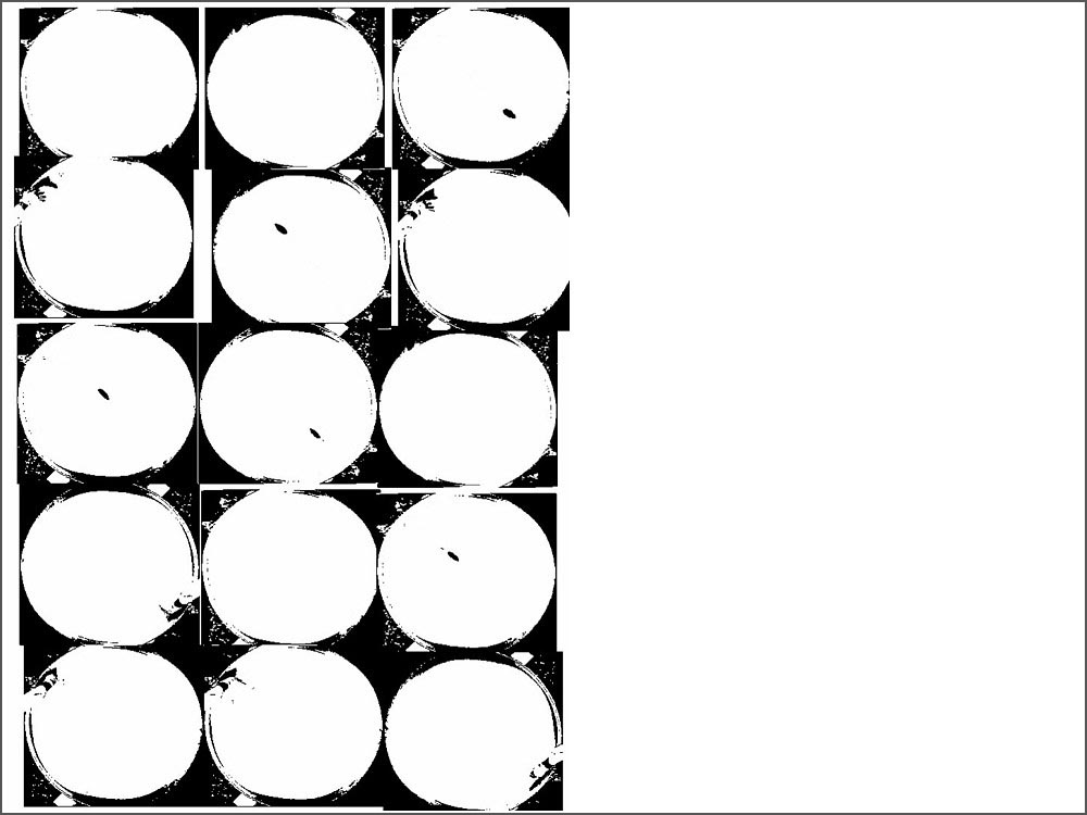 Double Disaster by Eunkyung Lie Center for Synaptic Brain Dysfunctions