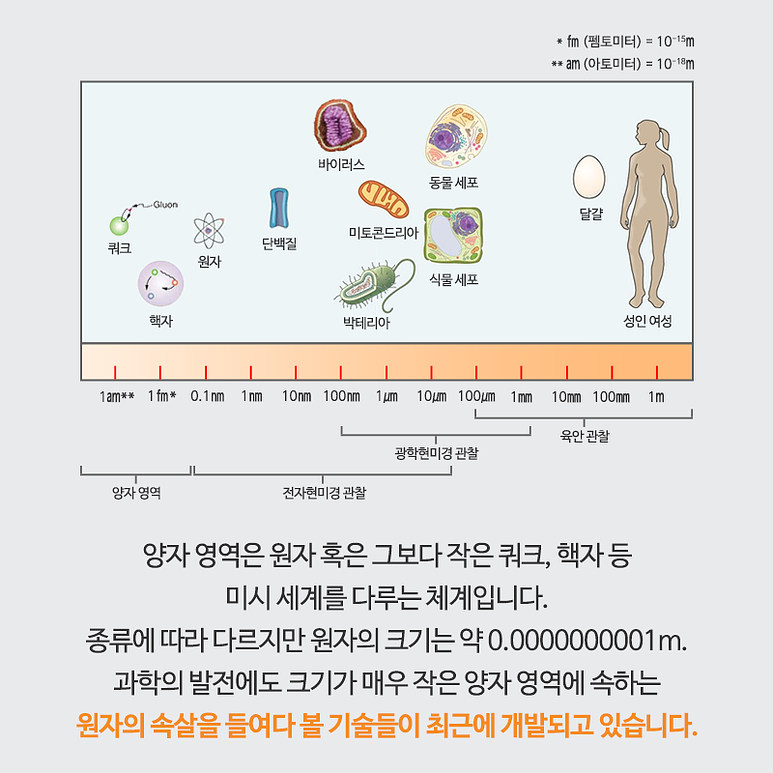 양자 영역은 원자 혹은 그보다 작은 쿼크, 핵자 등 미시 세계를 다루는 체계입니다. 종류에 따라 다르지만 원자의 크기는 약 0.0000000001m. 과학의 발전에도 크기가 매우 작은 양자 영역에 속하는 원자의 속살을 들여다 볼 기술들이 최근에 개발되고 있습니다.