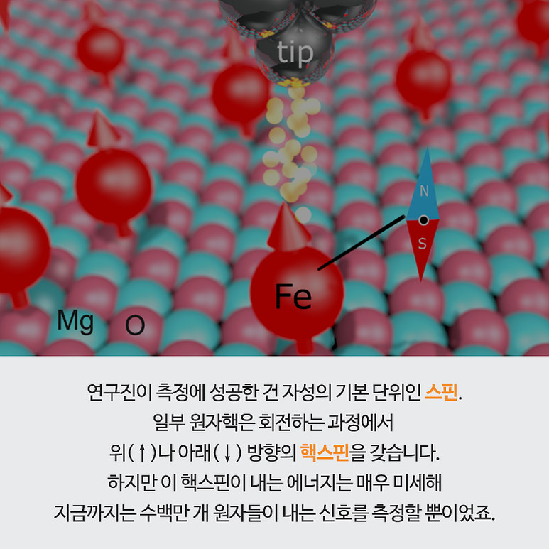 연구진이 측정에 성공한 자성의 기본 단위인 스핀. 일부 원자핵은 회전하는 과정에서 위(↑)나 아래(↓) 방향의 핵스핀을 갖습니다. 하지만 이 핵스핀이 내는 에너지는 매우 미세해 지금까지는 수백만 개 원자들이 내는 신호를 측정할 뿐이었죠.