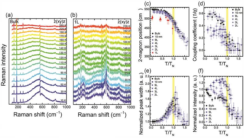 그림 2. 삼황화린니켈의 라만 분광법 스펙트럼