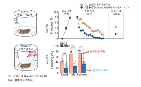 [그림 1] 양측성 시각 자극을 사용한 공포기억 반응-감소의 효과