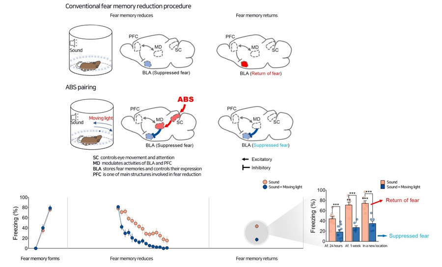 Figure1 ABS pairing demonstrating the long-lasting reduction of traumatic fear.