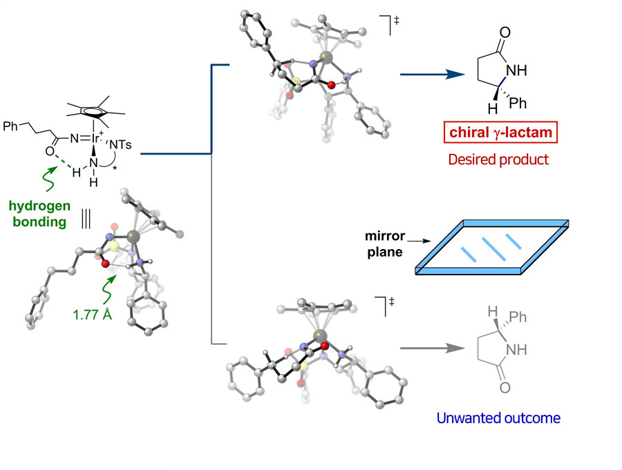 Figure 2 The iridium catalyst works as a hydrogen bond donor in the reaction system. Quantum chemical calculation revealed a transient hydrogen bonding between a substrate and a catalyst, which was the fundamental origin of the selective synthesis using the new catalyst.