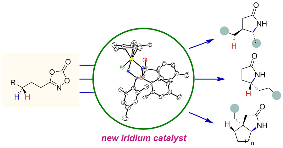 Figure 3 Selective amidation reaction using the new iridium catalysts. A group of chiral lactams in different shapes produced from inexpensive and readily available feedstock hydrocarbons. Their diverse structures allow lactams to correspond to different pharmaceutical drugs