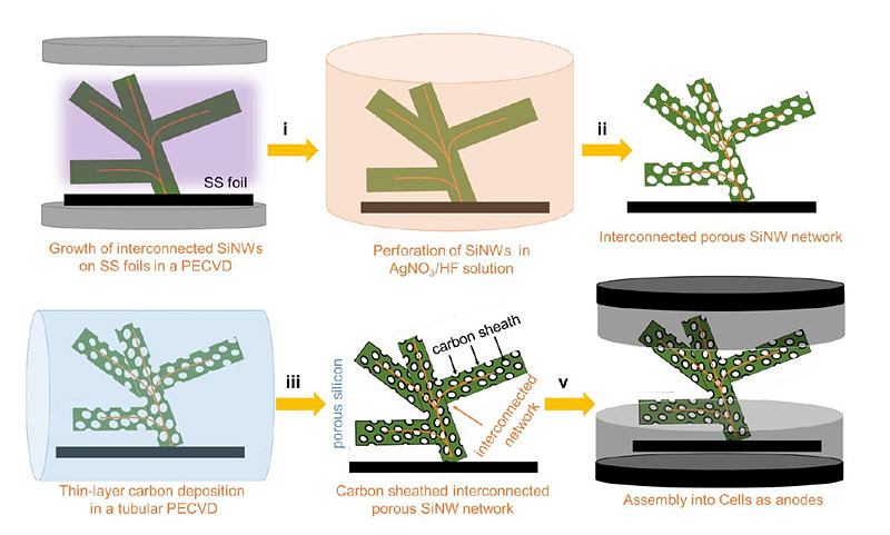 산호 모양의 실리콘-탄소 복합체 일체형 전극 제조과정. (출처: ACS Nano)