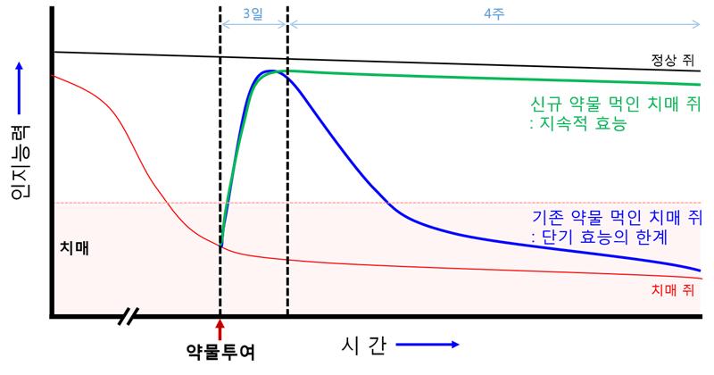 기존 치매 약물의 경우에는 단기적으로는 인지기능의 개선의 효능을 보이지만 장기간 투여 시 다시 인기기능 장애를 유발한다. 약물투여 시점으로부터 1주일이 지나면 점점 기능이 상실됨을 위 그래프로 확인할 수 있다. 반면 연구진이 개발한 후보약물은 장기간 투여에도 안정적으로 인지기능을 개선된다는데 획기적인 연구결과라 할 수 있다. 