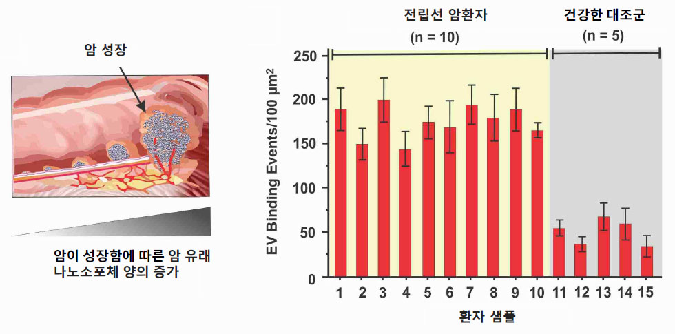 그림 3. 혈소판 칩을 활용한 나노소포체 분석