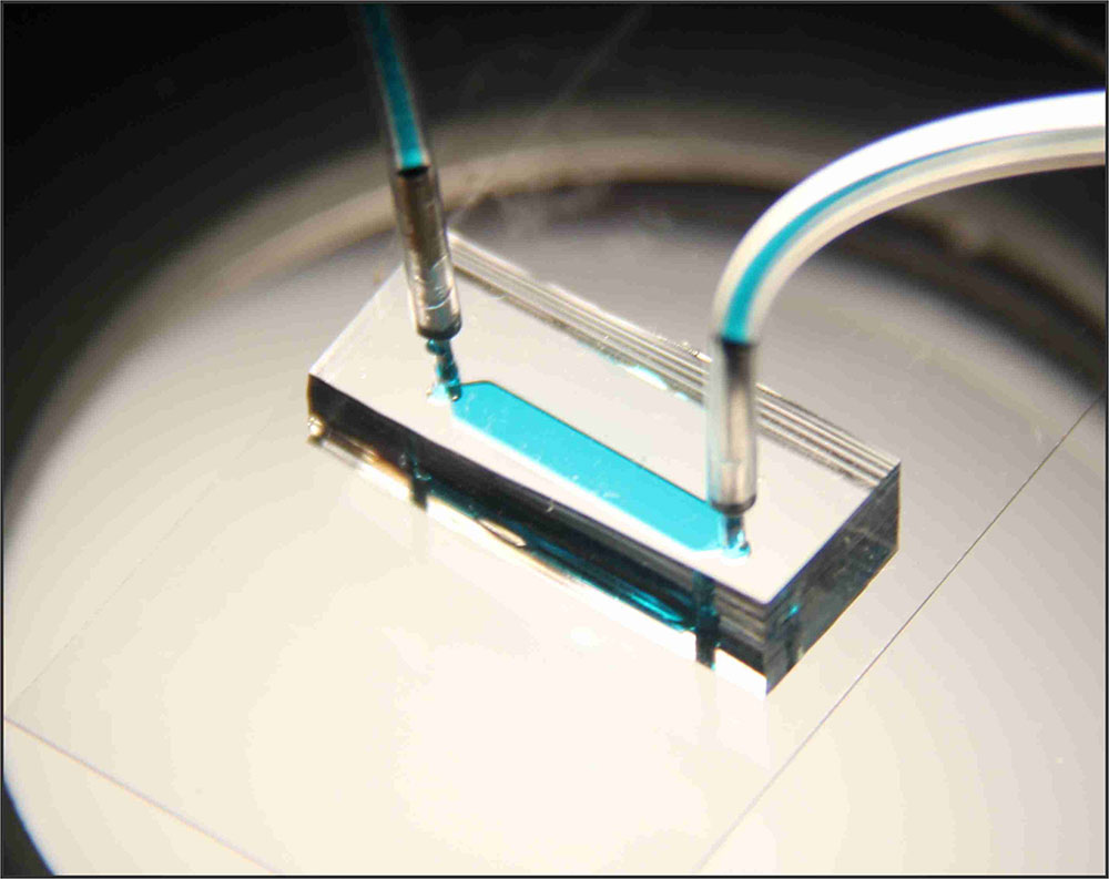그림 4. 실험에 사용된 혈소판 칩 사진