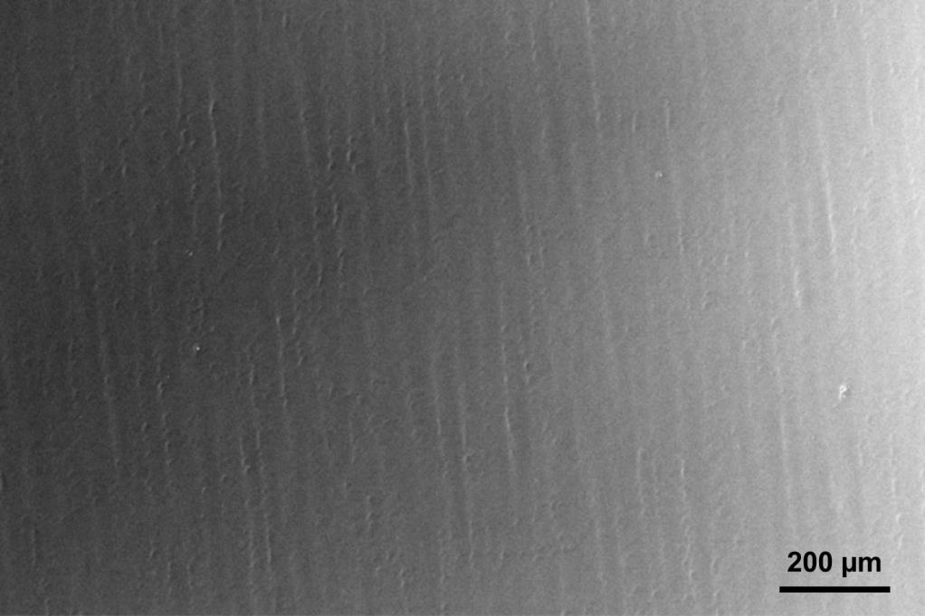 Figure 1 A large scale (~2.5 mm x 1.6 mm) SEM image of an adlayer-free single crystal graphene film on a Cu(111) foil.