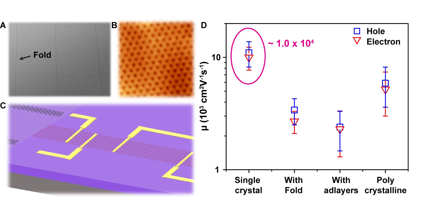 Figure 2 (A) SEM image of an adlayer-free single crystal graphene film with parallel long folds on a Cu(111) foil. (B) A high-resolution ultra-high-vacuum STM image of the honeycomb lattice of the single crystal graphene film. (C) Schematic illustration for straightforward fabrication of high-performance field-effect transistors in the region lying between two adjacent folds in the single crystal graphene film. (D) Carrier mobilities measured from field-effect transistors patterned with various kinds of graphene samples; adlayer-free single crystal graphene film shows the best performance. 
