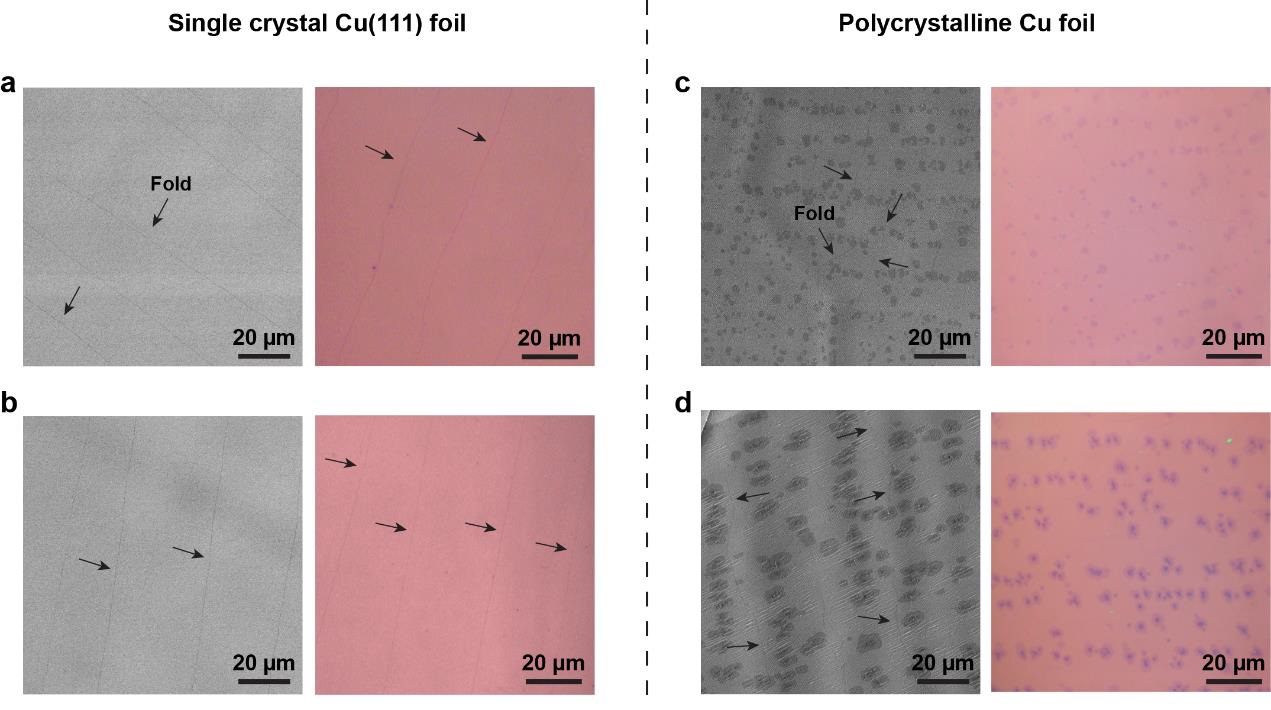 Figure 3 (a-b) (left panel) SEM images of adlayer-free single crystal graphene films on Cu(111) foils and (right panel) optical images of the films after transfer to 300 nm SiO<sub>2</sub>/Si wafers. (c-d) (left panel) SEM images of polycrystalline graphene films with adlayers on polycrystalline Cu foils and (right panel) optical images of the films after transfer to 300 nm SiO<sub>2</sub>/Si wafers. CVD parameters for gas flow and pressure were as follows: (a, c) H<sub>2</sub>/CH<sub>4</sub> (200 sccm /1 sccm) at 2.0 Torr; (b, d) H<sub>2</sub>/CH<sub>4</sub> (30 sccm / 30 sccm 0.1% CH<sub>4</sub> in Ar) at 30.0 Torr. The black arrows point to folds.
