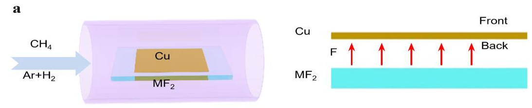 Figure 1. Schematic diagrams of the experimental design for locally introducing fluorine for graphene growth. 