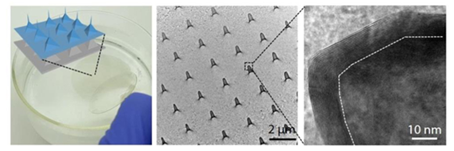 그림 2. 입체 돌기 형태의 멤브레인 반도체 모식도와 전자현미경 이미지
