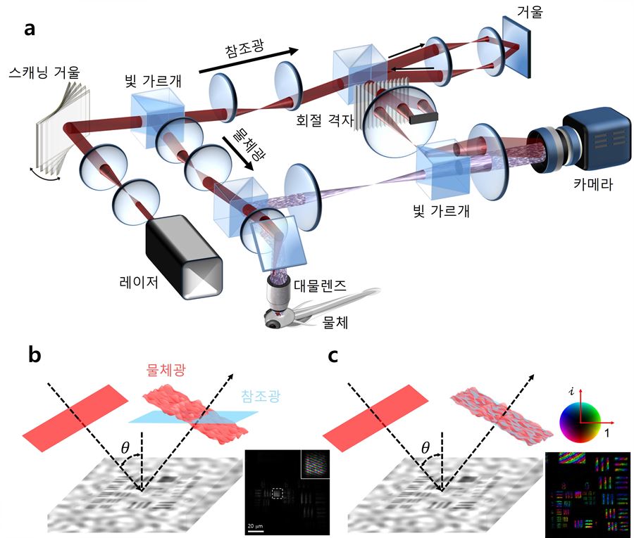 초고속 시분해 홀로그램 현미경의 작동원리(a). 스캐닝 거울을 이용한 결과 제한된 영역에서만 관찰 가능하던 기존 기술(b)과 달리 더 넓은 면적(c)을 관찰할 수 있다.
