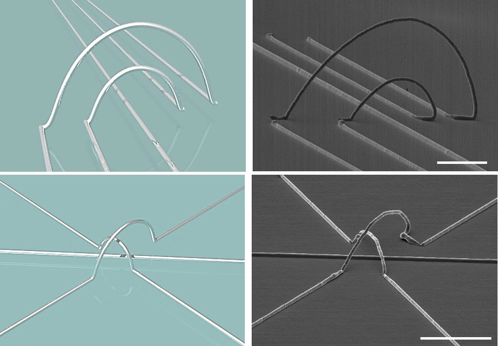 Figure 3-2 Schematic illustrations (left) and scanning-electron microscopic images (right) of various 3D structures of printed stretchable metal composites. 3D interconnection can overlap Scale bars are 100 µm.