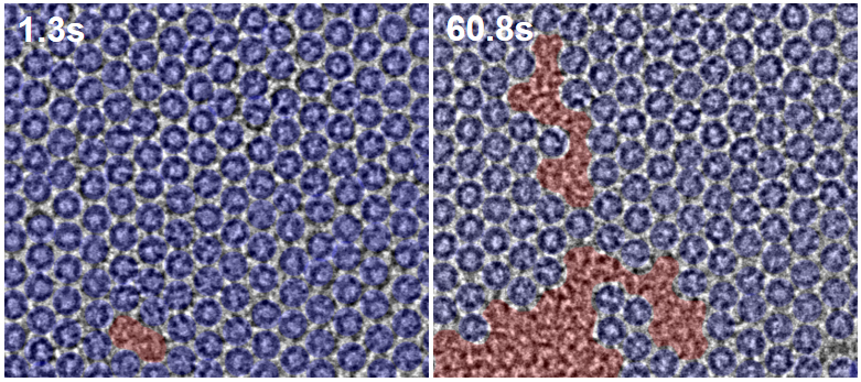 그림 2. 풀러린 분자 결정에서 액체로의 상전이 현상을 전자현미경으로 촬영한 결과.