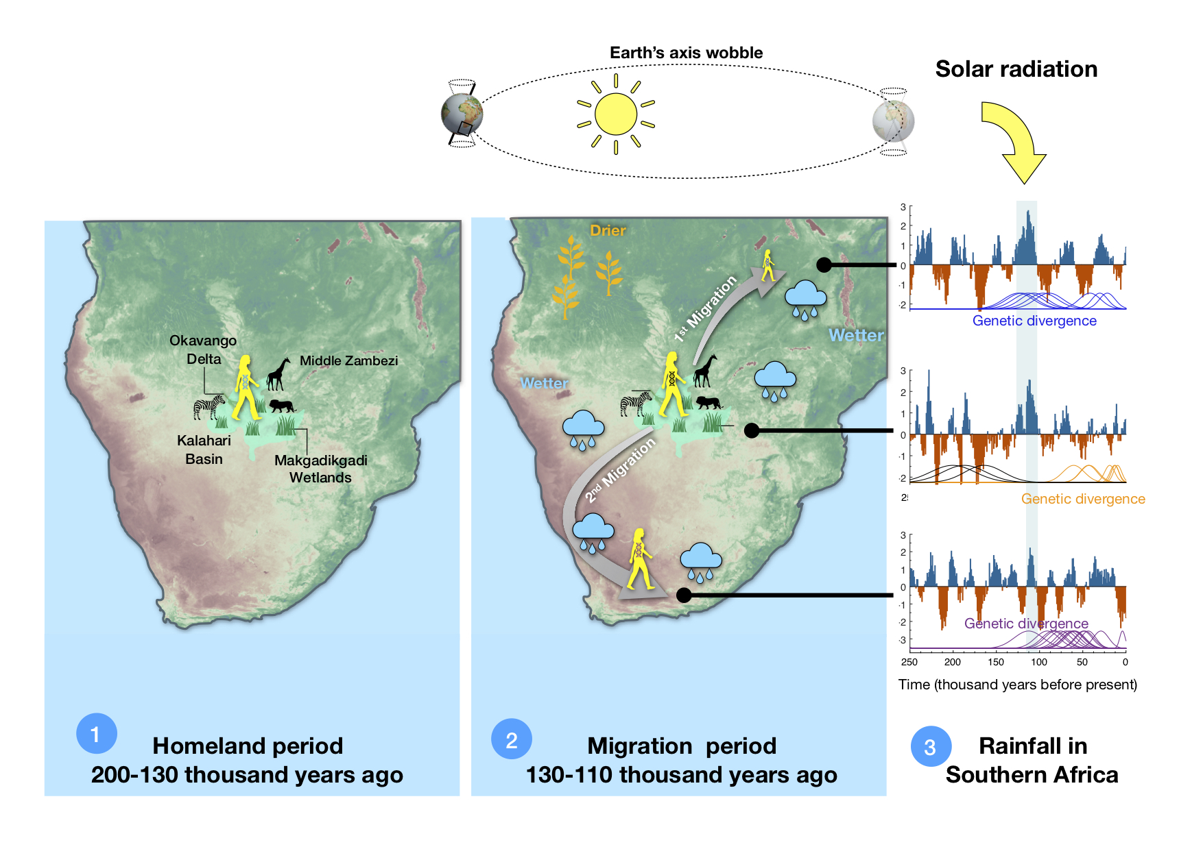 Figure 2: Anatomically modern humans lived in a vast wetland in the Kalahari region from 200-130 thousand years ago. There is no evidence for migration events out of this original homeland during this time. Around 130 thousand years ago, with earth’s orbit and solar radiation changing (upper panel), increased precipitation and vegetation northeast of the homeland (right panel) allowed to leave the homeland area (middle panel). About 15 thousand years later a green corridor opened to the southwest which allowed to migrate towards the west coast of Southern Africa, where they lived as coastal foragers. One group stayed in the homeland, where their descendants (Kalahari Khoesan) still live today. 
