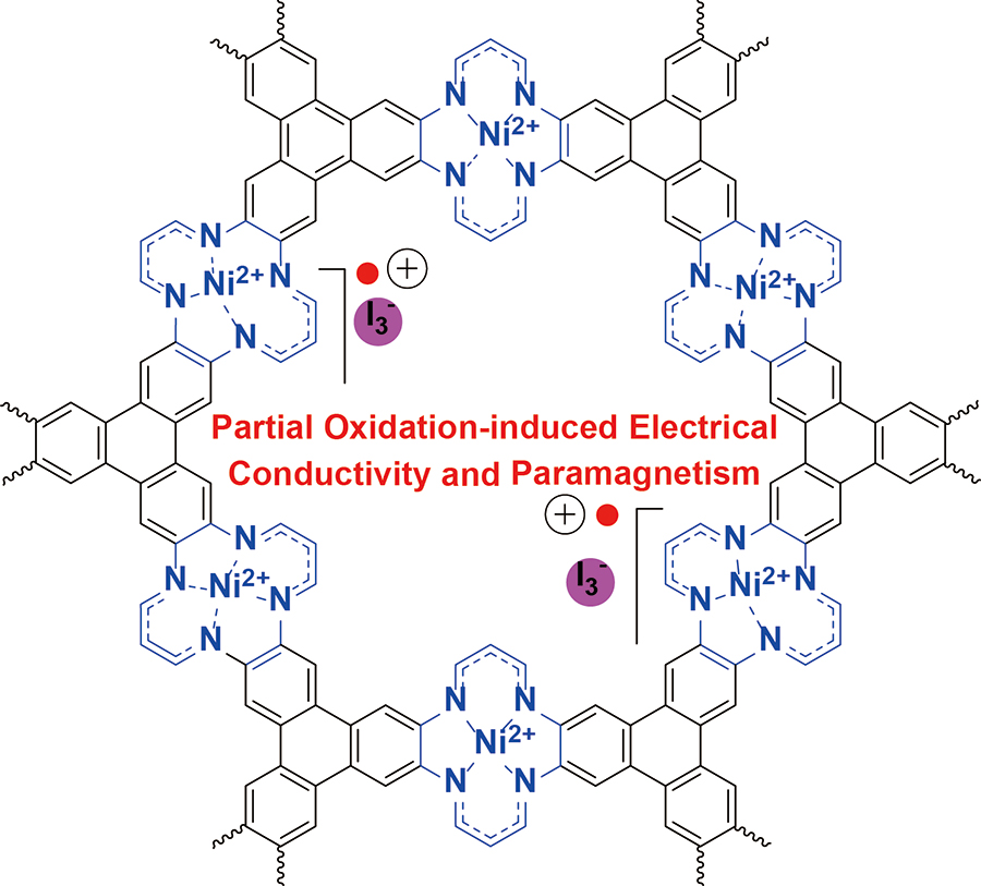 Figure 1. Chemical structure of iodine-doped Ni(II) tetraaza[14]annulene-linked MOF (NiTAA-MOF). While NiTAA-MOF is an insulator, the oxidized molecule acquires electrical conductivity and paramagnetism.